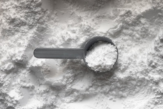 Proteinpulver – welches soll man wählen? Ist es in der Ernährung notwendig?