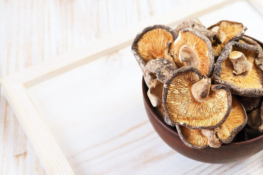Cordyceps , Reishi , Shiitake , Chaga , Maitake – ein paar Worte zu ungewöhnlichen Pilzen