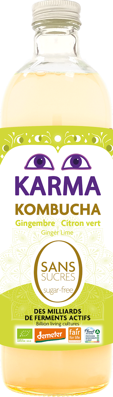 Karma Kombucha mit Ingwer und Zitrone, 750 ml, Demeter Bio, erfrischendes fermentiertes Getränk ohne Zucker