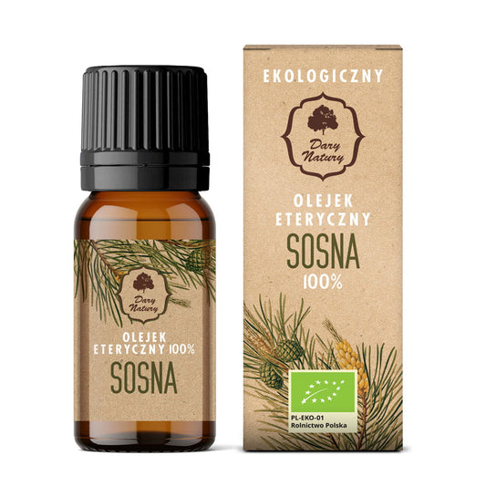 Bio Kiefer Ewigess Öl von DARY NATURY in 10 ml Flasche, naturbelassenes ätherisches Öl für Aromatherapie und Wohlbefinden