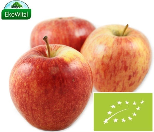 1909245ae03c0fbc6aae850b730d5a96