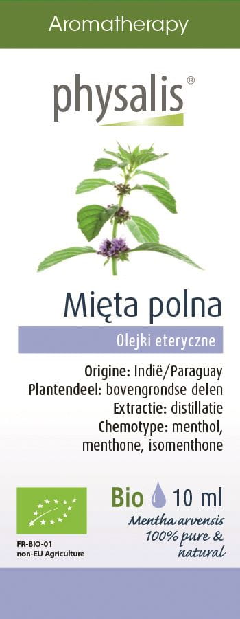 Echtes Bio-Minzöl (Ackermunt) von Physalis in 10 ml Flasche, frisches grünes Minzblatt im Hintergrund