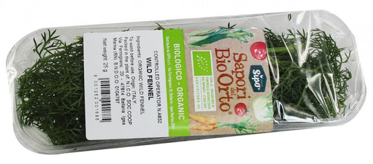 Frischer Bio-Dill in ca. 25 g Packung, von BIO PLANET, mit grünen Dillkräutern auf weißem Hintergrund