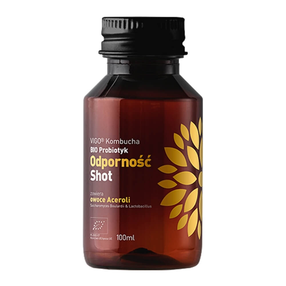 Kombucha BIO Probiotischer Resistenz-Shot 100ml VIGO