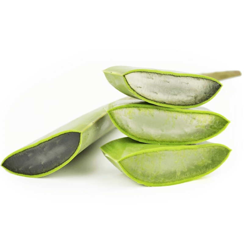 Großpackung (kg) - frische Aloe BIO (ca. 4 kg) Pääkuva