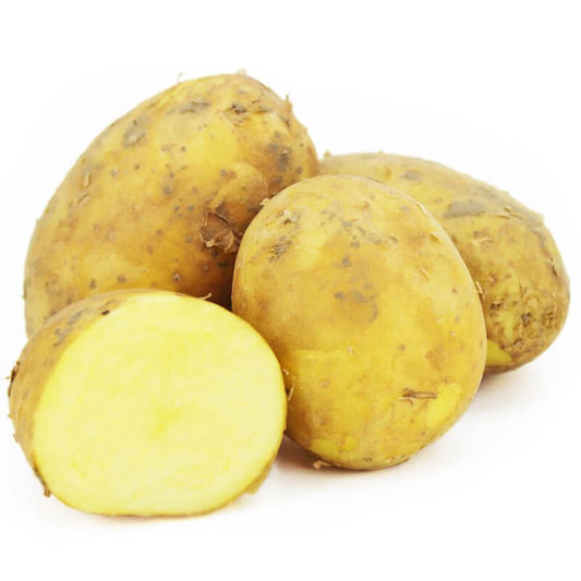 Frische, gelbe Bio-Kartoffeln von BIO PLANET, junge polnische Kartoffeln in 2 kg Packung, ideal für gesunde Mahlzeiten