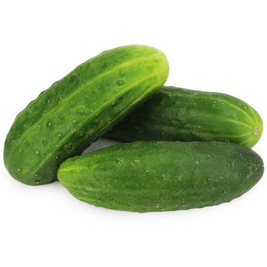Frische polnische Bio-Feldgurken, ca. 1 kg, von BIO PLANET auf einem Holztisch gelegen.