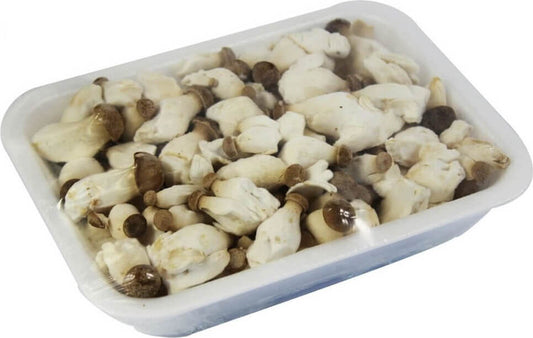 Frische BIO PLANET Eryngii Baby Champignons (Steinpilze) aus Polen, ca. 200g, in der Verpackung sichtbar.