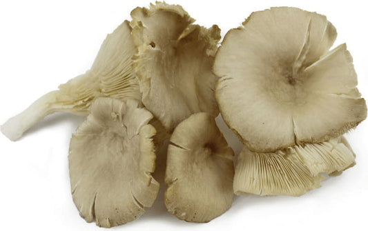 Frische Bio-Brötchen und Pilze im Multipack, ca. 2 kg, von BIO PLANET, auf einem Holztisch präsentiert.