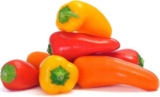 Frische BIO-Pfeffermischung in Großgebinde, ca. 2 kg, von BIO PLANET, mit bunten Pfefferkörnern in einer transparenten Verpackung