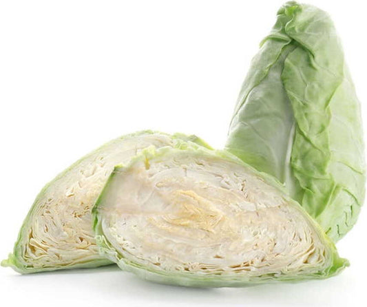 Frischer BIO PLANET Spitzkohl im Großgebinde, ca. 6,5 kg, grüne Kohlköpfe auf einem Küchenhintergrund