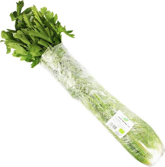 Frischer BIO Sellerie vom BIO PLANET, etwa 1 kg, grün und knackig, ideal für Salate und Suppen.