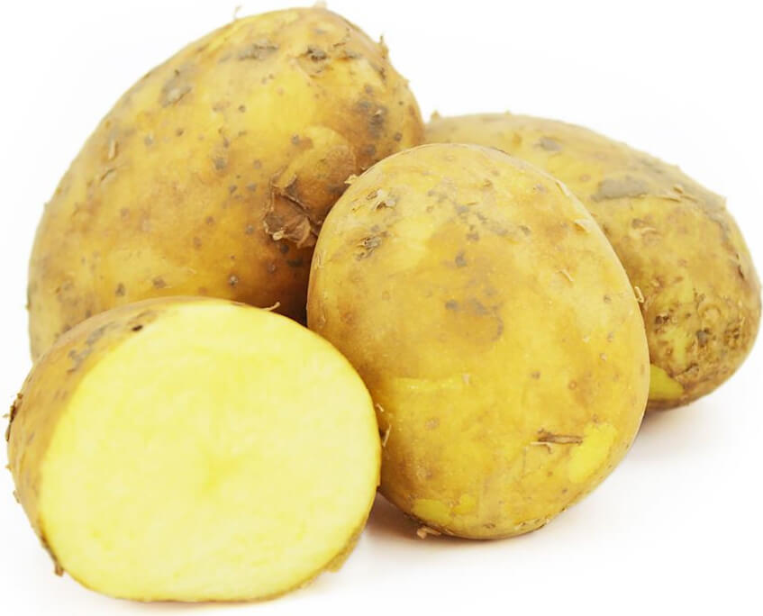 Großpackung (kg) - frische gelbe Kartoffeln BIO (polnisch) (ca. 10 kg)