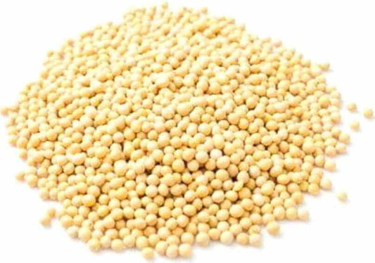 Bio Soja (Rohstoff) von BIO PLANET, 25 kg, trockene, braune Sojabohnen in einem Jutesack für die nachhaltige Ernährung.