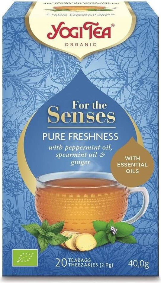 Bio Frischetee für die Sinne von YOGI TEA, 20 Teebeutel à 20 g, frisch und aromatisch in einer Verpackung.