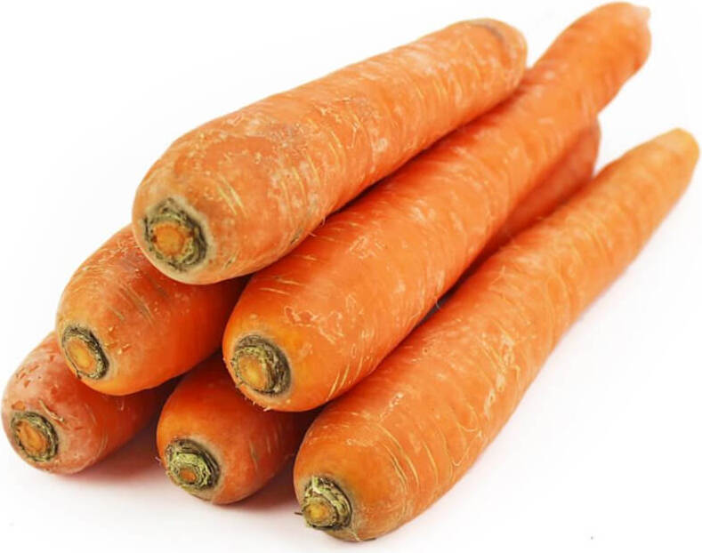 Frische Karotten für gewaschenen Saft BIO (ca. 500 kg)