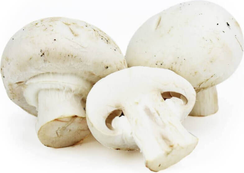 Frische weiße Champignons BIO (polnisch) (ca. 250g) Imagem principal do produto