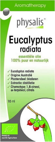 Eucalyptus radiata (australischer Eukalyptus) ätherisches Öl BIO 10 ml - PHYSALIS