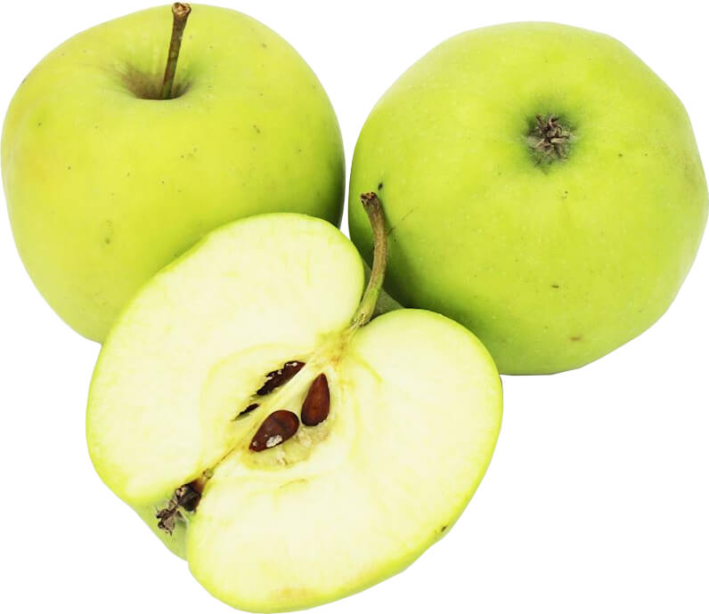 Großverpackung (kg) - frische Äpfel BIO (golden - polnisch) (ca. 13 kg)