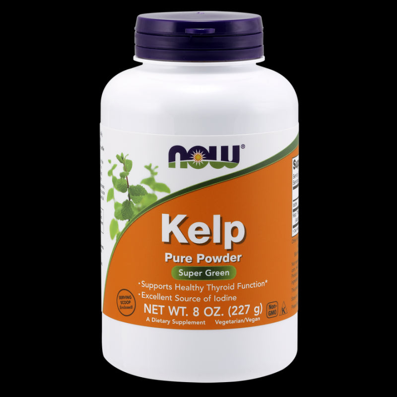 Kelp Natural Jod Fucus Blasenpulver 227 g NOW FOODS