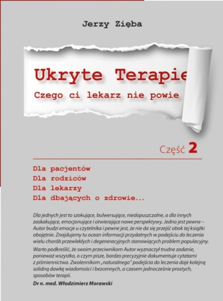 Versteckte Therapien 2 Buch VISANTO - Biogo.de Hover Image