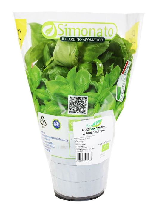 Frischer Bio-Basilikum im Topf von BIO PLANET, grünes Kraut mit großen Blättern, ideal für Kochrezepte.